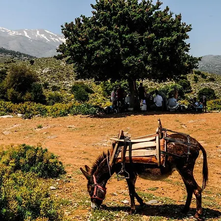 Enagron Ecotourism Village 3*