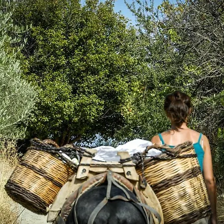 Enagron Ecotourism Village Aparthotel Axos